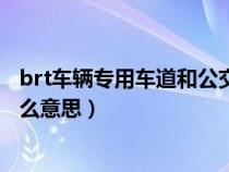 brt车辆专用车道和公交车专用车道（brt车辆专用车道是什么意思）