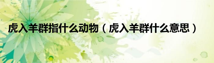 虎入羊群指什么动物（虎入羊群什么意思）