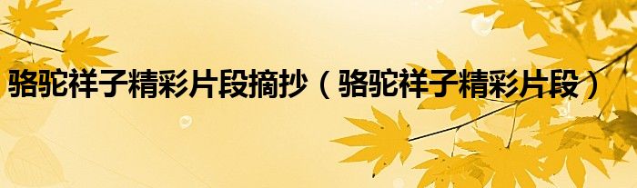 骆驼祥子精彩片段摘抄（骆驼祥子精彩片段）