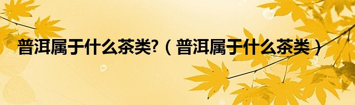 普洱属于什么茶类?（普洱属于什么茶类）
