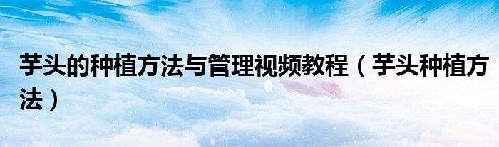 芋头的种植方法与管理视频教程（芋头种植方法）