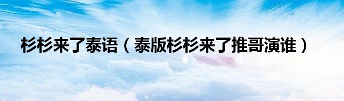 杉杉来了泰语（泰版杉杉来了推哥演谁）