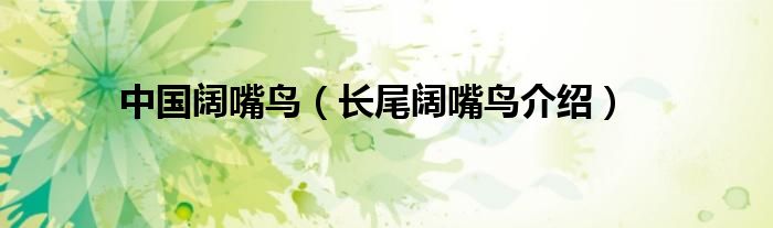 中国阔嘴鸟（长尾阔嘴鸟介绍）