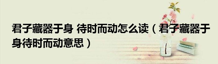君子藏器于身 待时而动怎么读（君子藏器于身待时而动意思）
