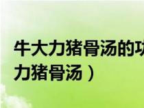牛大力猪骨汤的功效与作用禁忌是什么（牛大力猪骨汤）