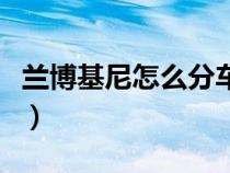 兰博基尼怎么分车型（兰博基尼怎么分大小牛）