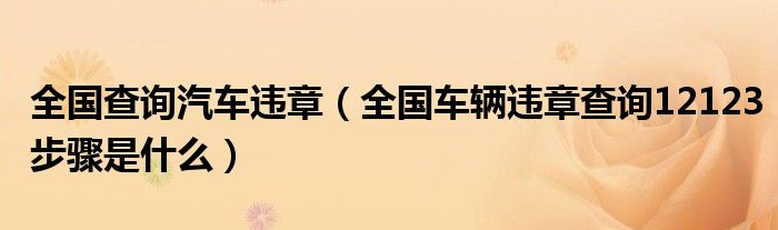 全国查询汽车违章（全国车辆违章查询12123步骤是什么）
