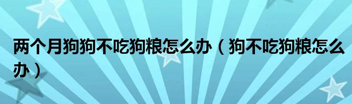 两个月狗狗不吃狗粮怎么办（狗不吃狗粮怎么办）