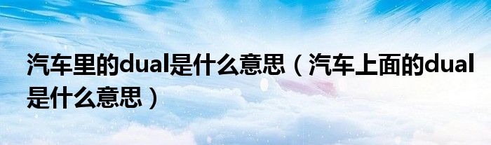 汽车里的dual是什么意思（汽车上面的dual是什么意思）