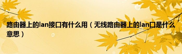 路由器上的lan接口有什么用（无线路由器上的lan口是什么意思）