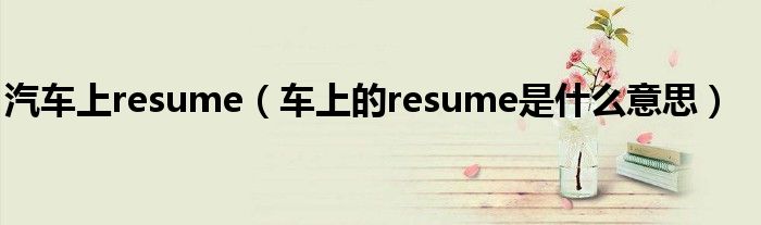 汽车上resume（车上的resume是什么意思）
