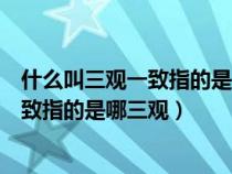 什么叫三观一致指的是哪三观什么叫世界观（什么叫三观一致指的是哪三观）