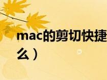 mac的剪切快捷键是什么（剪切快捷键是什么）