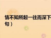 情不知所起一往而深下一句意思（情不知所起一往而深下一句）