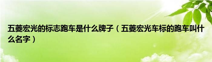 五菱宏光的标志跑车是什么牌子（五菱宏光车标的跑车叫什么名字）