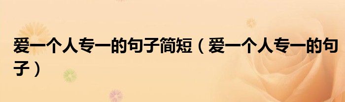 爱一个人专一的句子简短（爱一个人专一的句子）