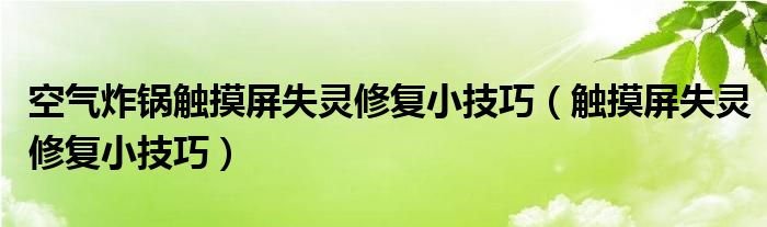 空气炸锅触摸屏失灵修复小技巧（触摸屏失灵修复小技巧）