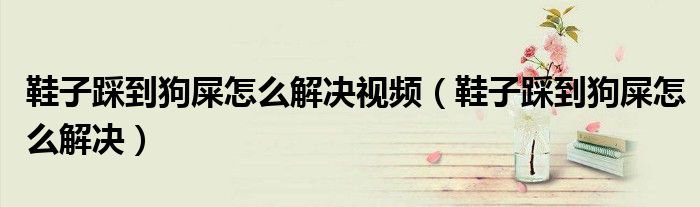 鞋子踩到狗屎怎么解决视频（鞋子踩到狗屎怎么解决）