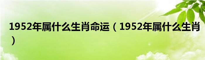 1952年属什么生肖命运（1952年属什么生肖）