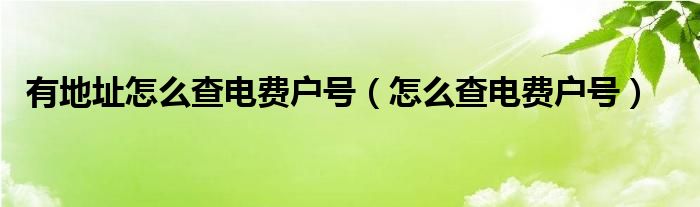 有地址怎么查电费户号（怎么查电费户号）