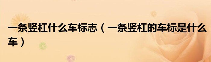 一条竖杠什么车标志（一条竖杠的车标是什么车）