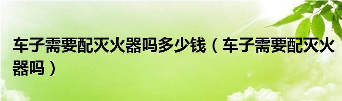 车子需要配灭火器吗多少钱（车子需要配灭火器吗）