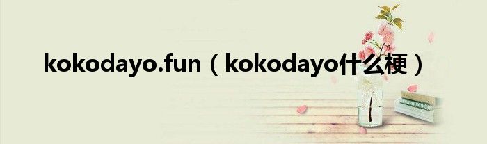 kokodayo.fun（kokodayo什么梗）