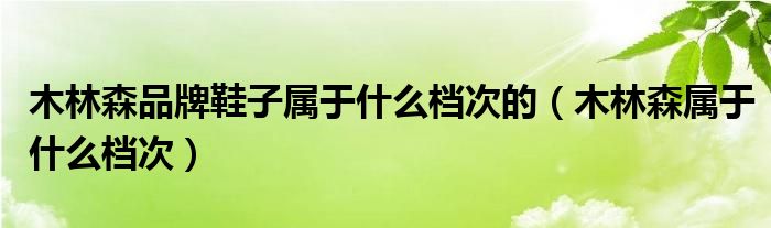 木林森品牌鞋子属于什么档次的（木林森属于什么档次）