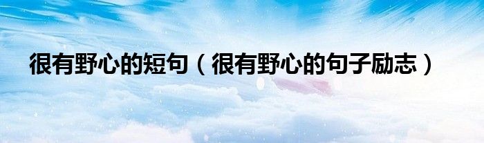 很有野心的短句（很有野心的句子励志）