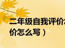 二年级自我评价怎么写50字（二年级自我评价怎么写）