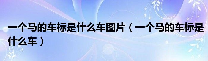 一个马的车标是什么车图片（一个马的车标是什么车）