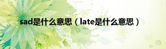 sad是什么意思（late是什么意思）