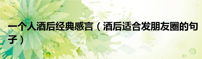 一个人酒后经典感言（酒后适合发朋友圈的句子）