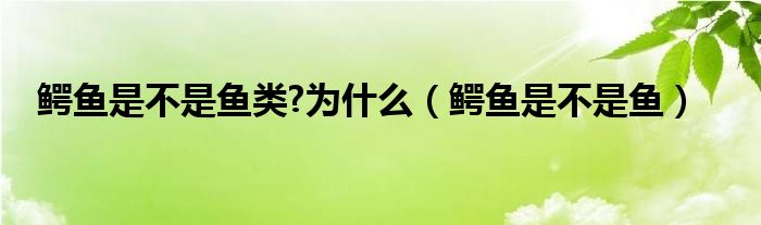 鳄鱼是不是鱼类?为什么（鳄鱼是不是鱼）