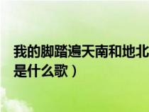 我的脚踏遍天南和地北是什么歌词（我的脚踏遍天南和地北是什么歌）