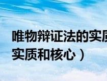 唯物辩证法的实质和核心是()（唯物辩证法的实质和核心）