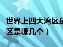 世界上四大湾区是哪哪四大湾区（世界四大湾区是哪几个）