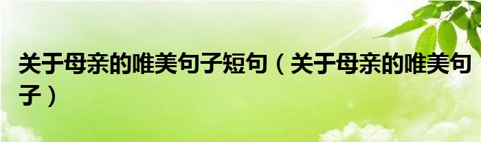 关于母亲的唯美句子短句（关于母亲的唯美句子）