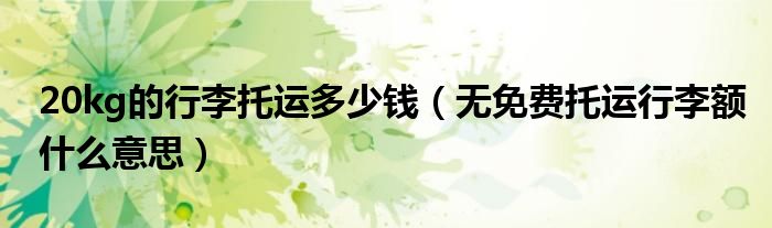 20kg的行李托运多少钱（无免费托运行李额什么意思）