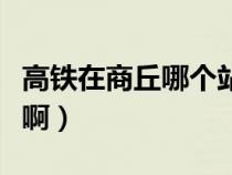 高铁在商丘哪个站上车（坐高铁在商丘哪个站啊）