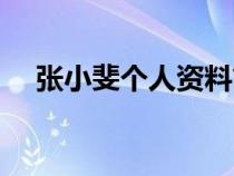 张小斐个人资料简历（张小斐个人资料）