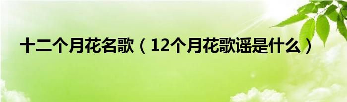 十二个月花名歌（12个月花歌谣是什么）