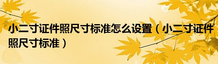小二寸证件照尺寸标准怎么设置（小二寸证件照尺寸标准）