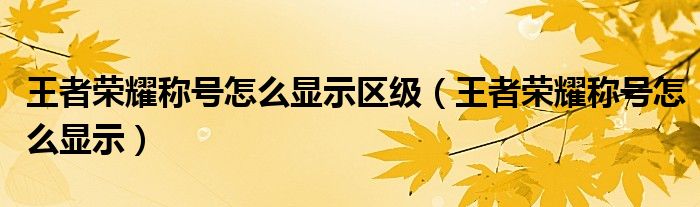 王者荣耀称号怎么显示区级（王者荣耀称号怎么显示）