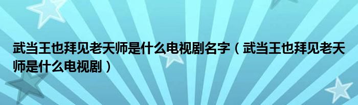 武当王也拜见老天师是什么电视剧名字（武当王也拜见老天师是什么电视剧）