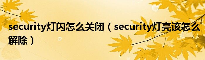 security灯闪怎么关闭（security灯亮该怎么解除）