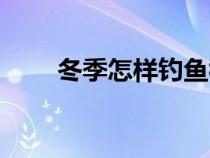 冬季怎样钓鱼视频（冬季怎样钓鱼）