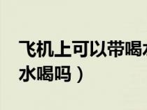 飞机上可以带喝水的瓶子吗?（坐飞机可以带水喝吗）