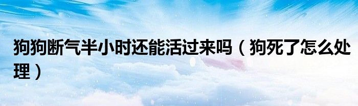 狗狗断气半小时还能活过来吗（狗死了怎么处理）