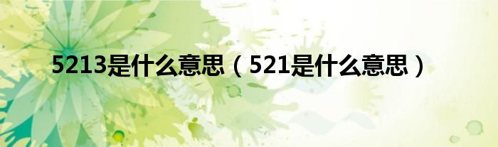 5213是什么意思（521是什么意思）